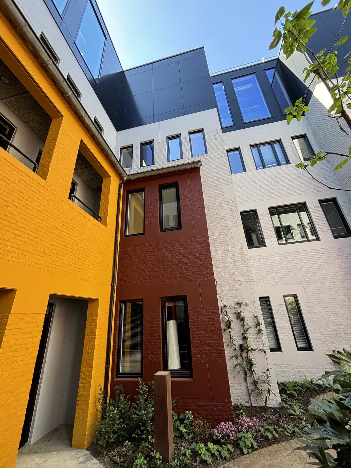 Kleurrijke schoolgevel na buitenschilderwerk